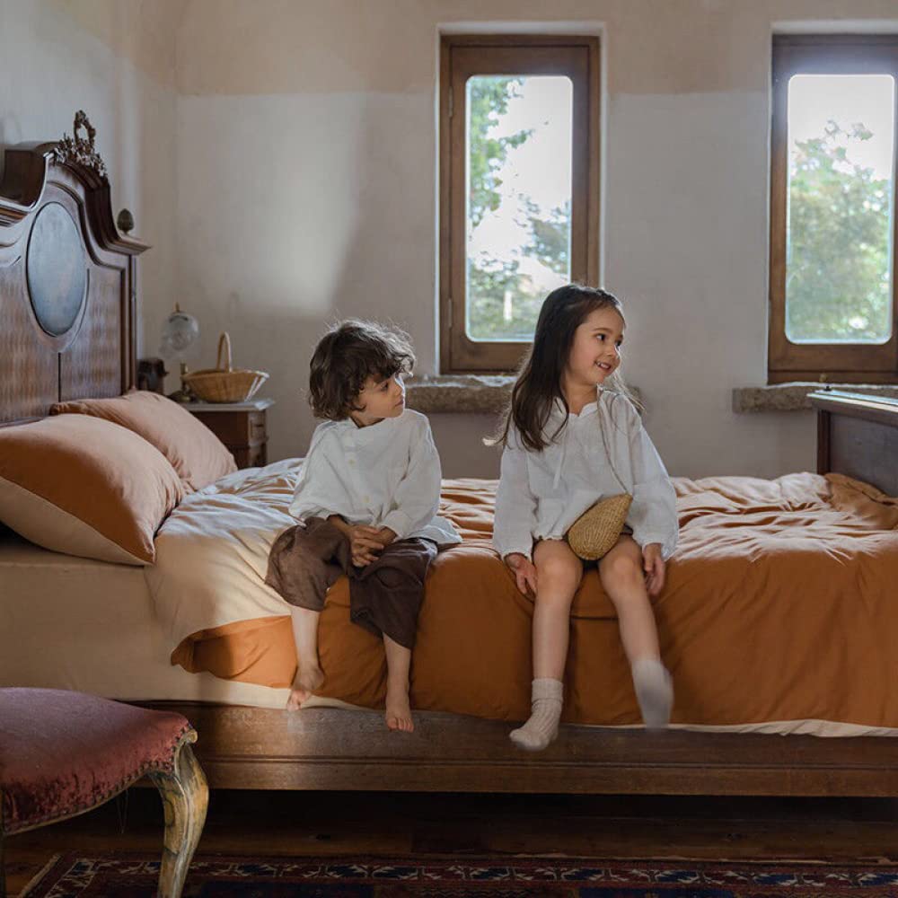 Lanqinglv Copripiumino 220 x 240 cm, colore: Caramello Beige Adolescente Ragazza Adulta Reversibile Parure da letto per 2 persone con cerniera, copripiumino in microfibra con 2 federe da 65 x 65 cm