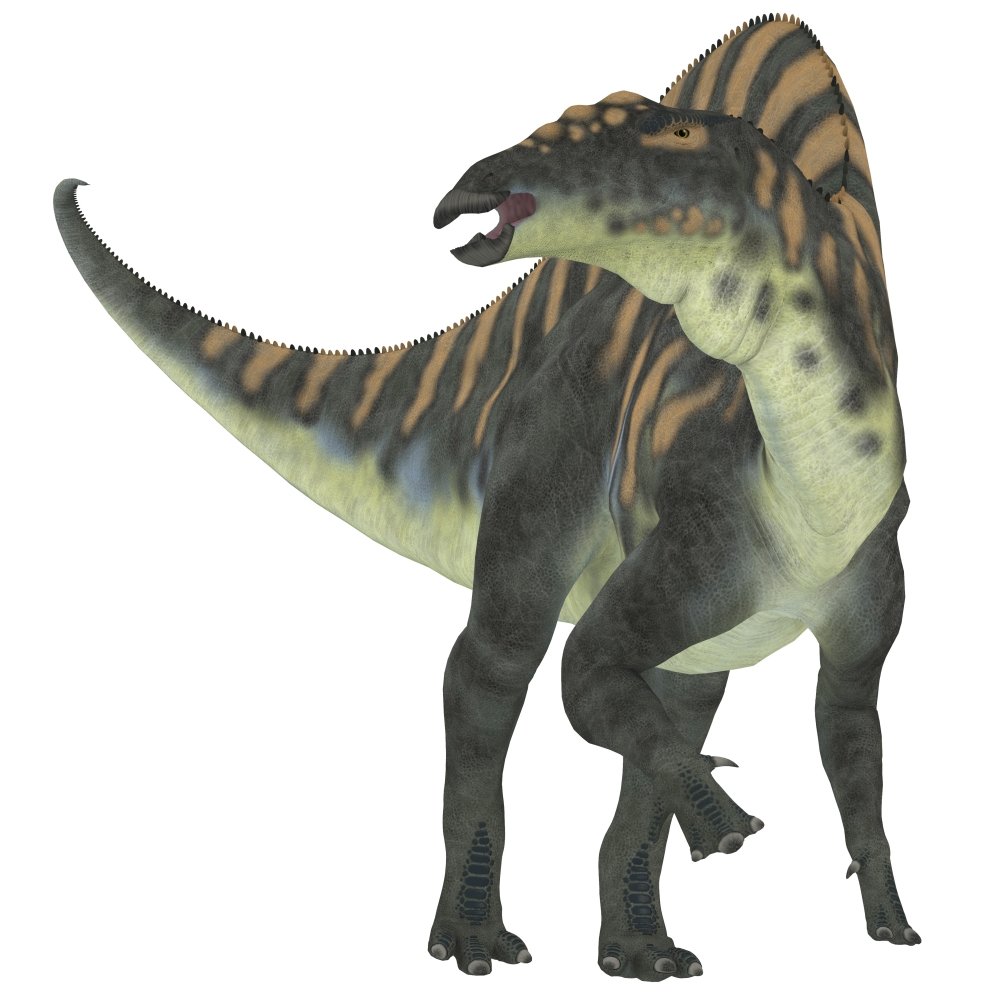 Amazon.com: Posterazzi Ouranosaurus was a herbivorous hadrosaur