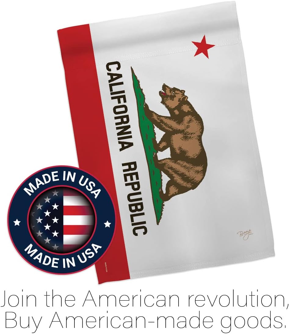 California State House Flag Home Decor CA Tapestry Wall United States Decoration Banner Small Patio Porch Lwan Garden Americana Outdoor Yard Signs American Gift Made In USA