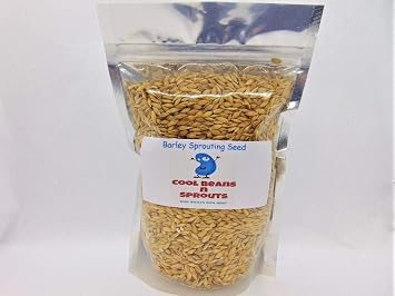 Barley Seeds for Sprouting Microgreens, 4 oz A Rich Source of Vitamins and Minerals and Health-Promoting Nutrients! COOL BEANS N SPROUTS Brand, A Small Town Family Run USA Business. Thank You!
