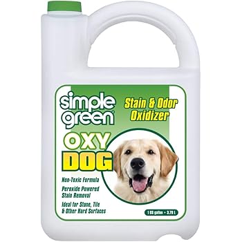dog green vomit