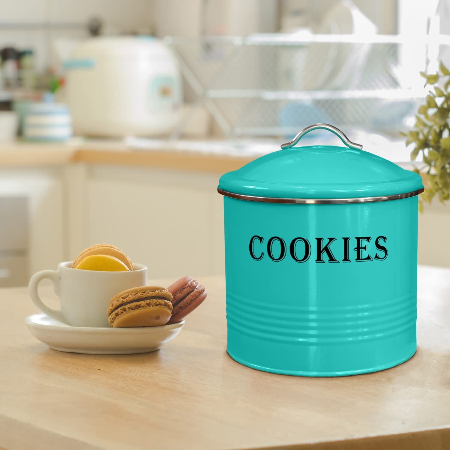 Amazon.com: Blue Donuts Vintage Cookie Tin - Airtight, Large