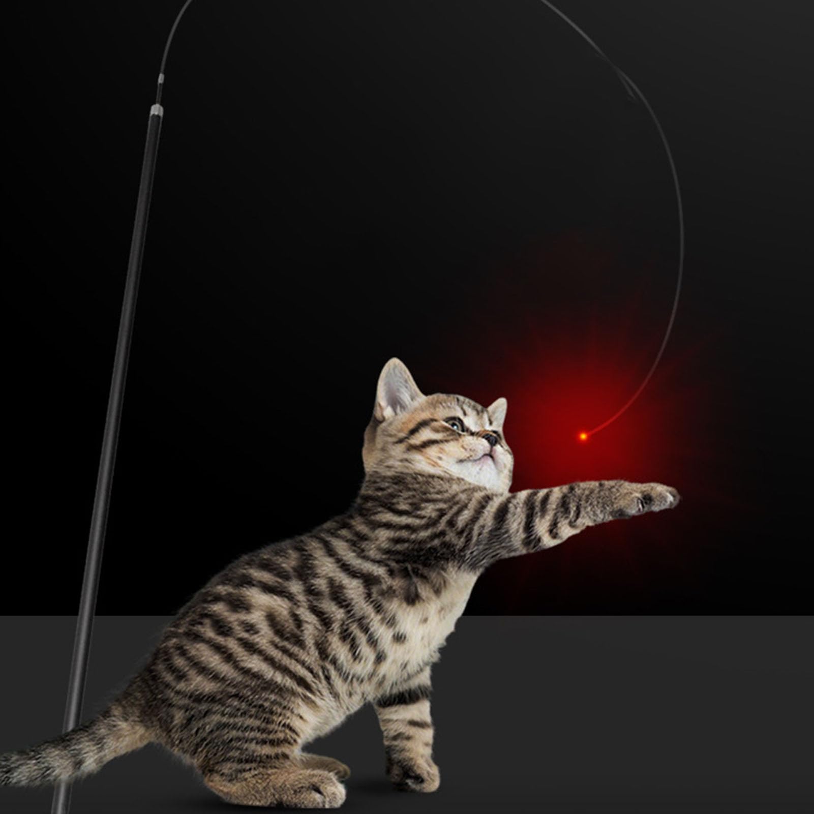 Varita Telescópica para Juegos de Gatos, Juguete de Varita Retráctil con Luz Roja LED, Diseñada para Juegos Interactivos, Antideslizante, Juguete de Caña de Pescar p (Negro)