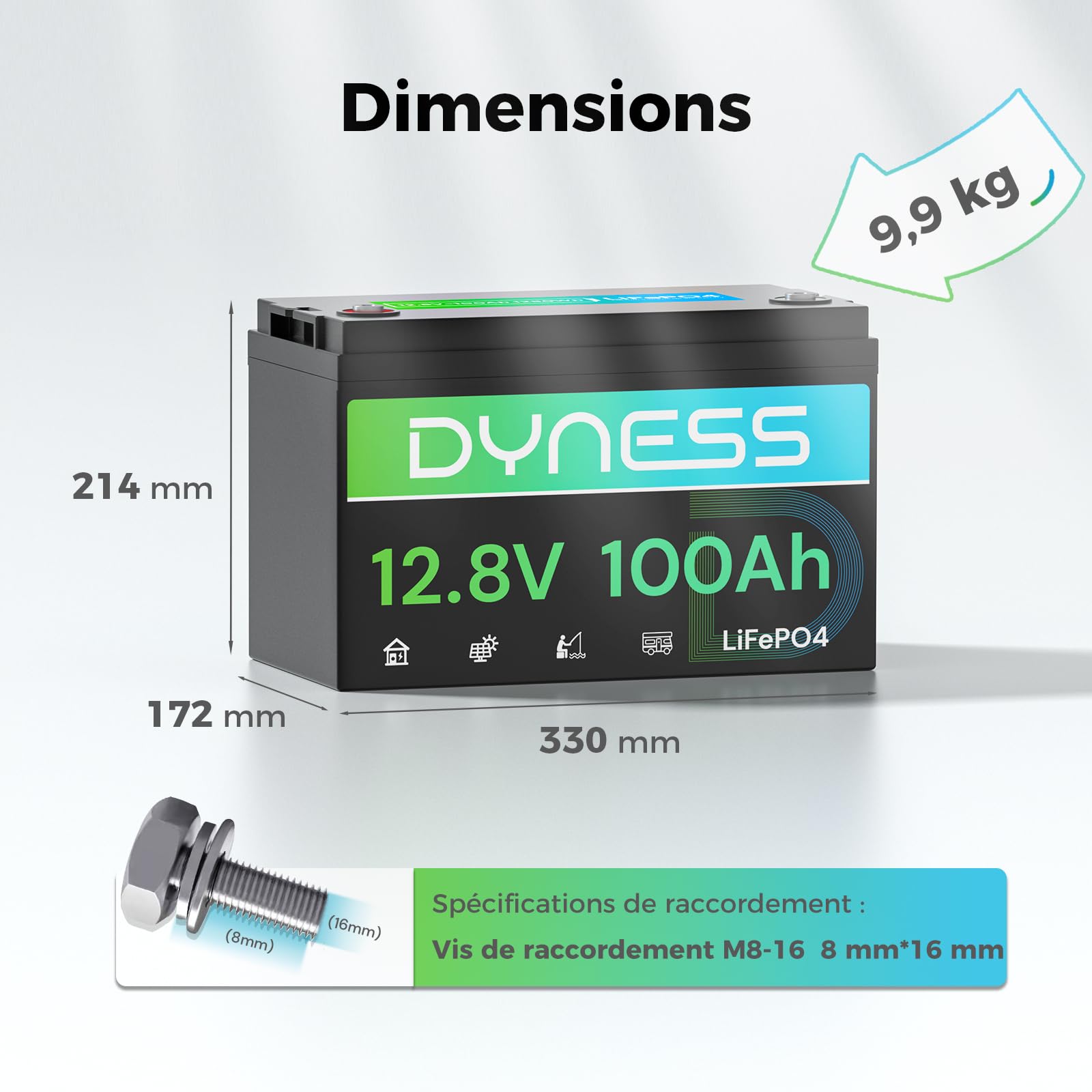 Dyness Batterie Lithium 12V 100 Ah LiFePO4 avec Protection 100A BMS, Batterie Lithium Camping-Car pour kit Panneau Solaire, Caravane, Alimentation de Secours