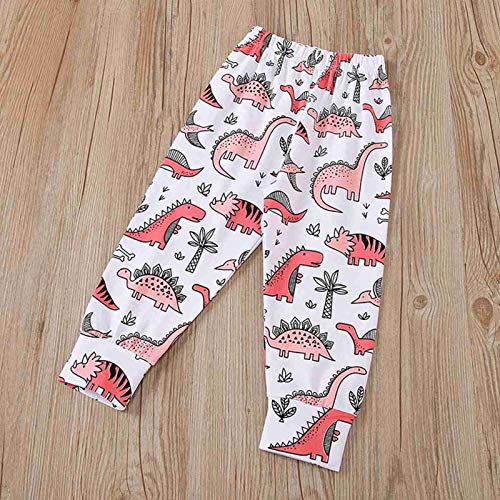 BOWINR Toddler Baby Girl Clothes Long Sleeve Letter Top Dinosaur Print Pants Set Winter Outfits(3_Years Pink)