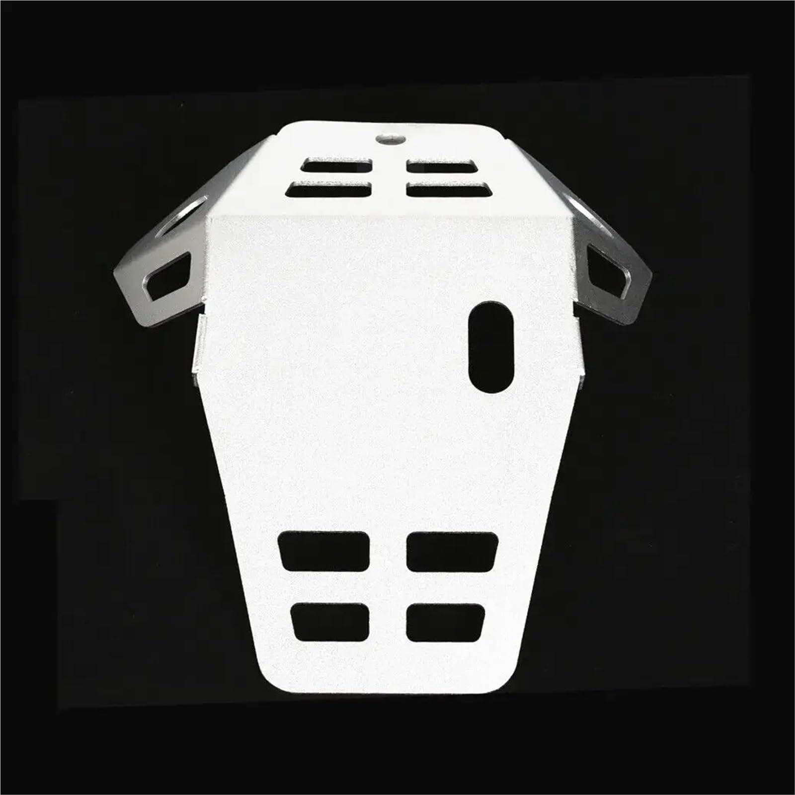 Per XR230 MOTARD 2005-2013 Accessori Piastra paramotore anteriore Copertura telaio base motore copertura motore Base del Motore(Silver)