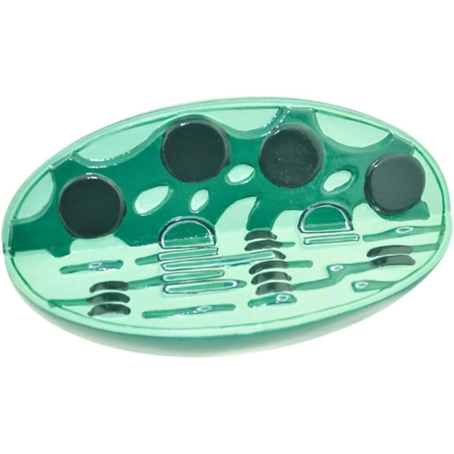Modello di struttura dell'organello cellulare Strumento biologico Strumento didattico Struttura dell'organello cellulare Modello anatomico Il modello dell'organello include il cloroplasto