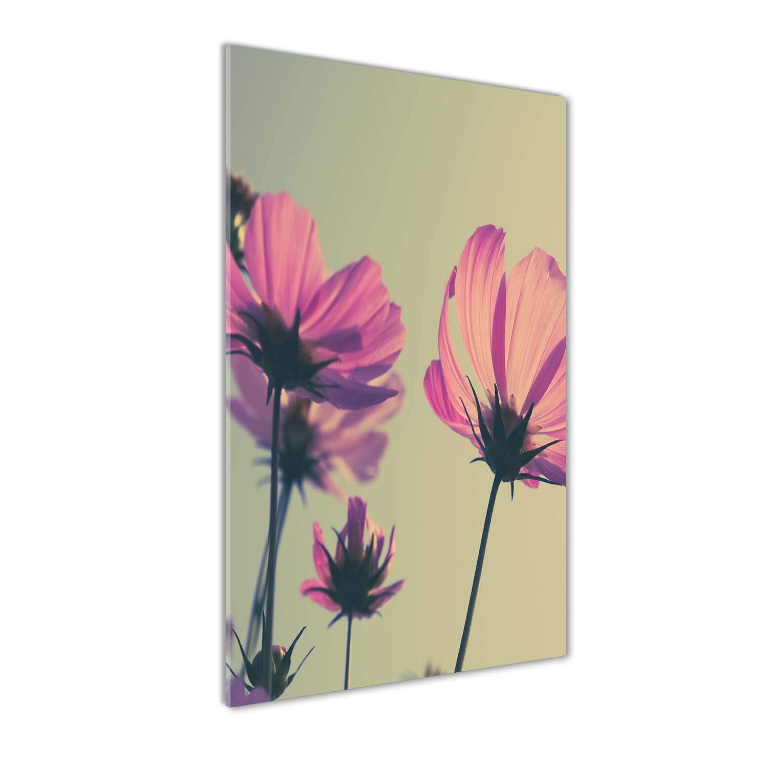 Image panoramique pour la cuisine et le salon format 60x120 cm fleurs roses vintage