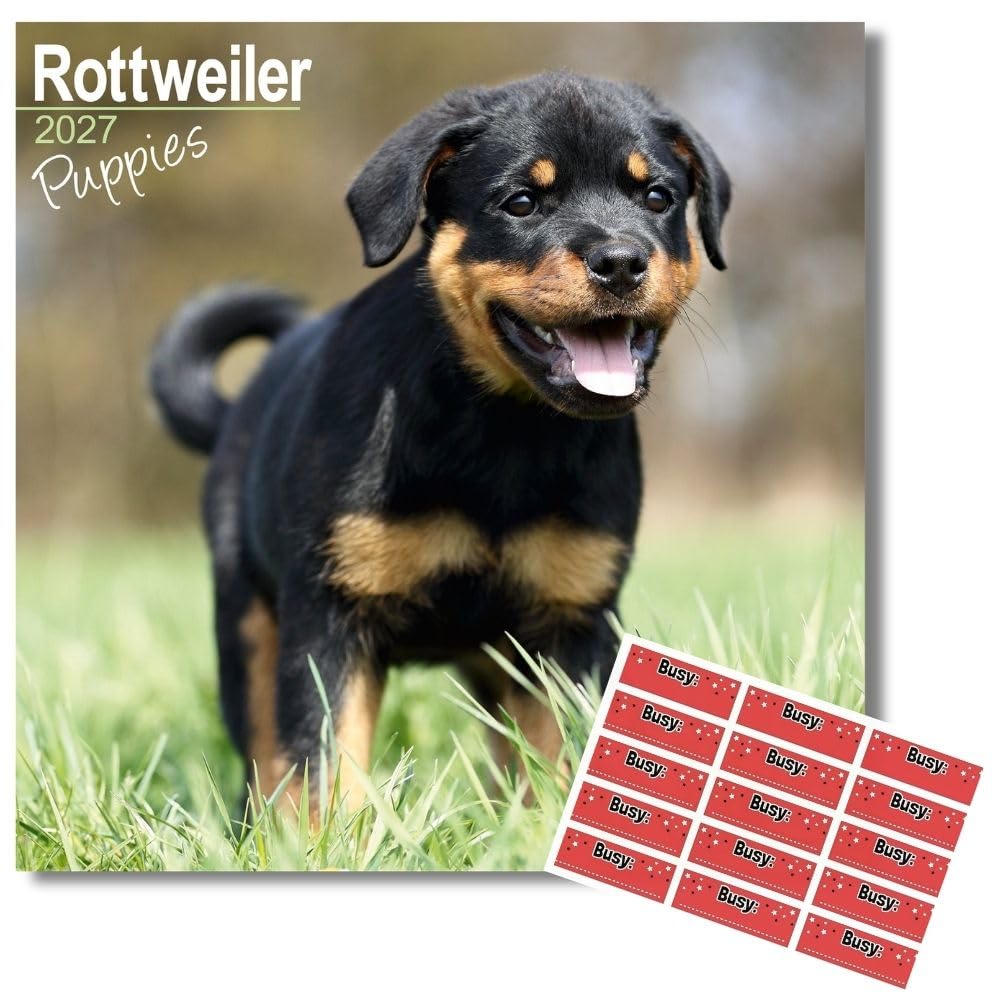Avonside Rottweiler Puppies 2027 Calendar with Organisational Stickers