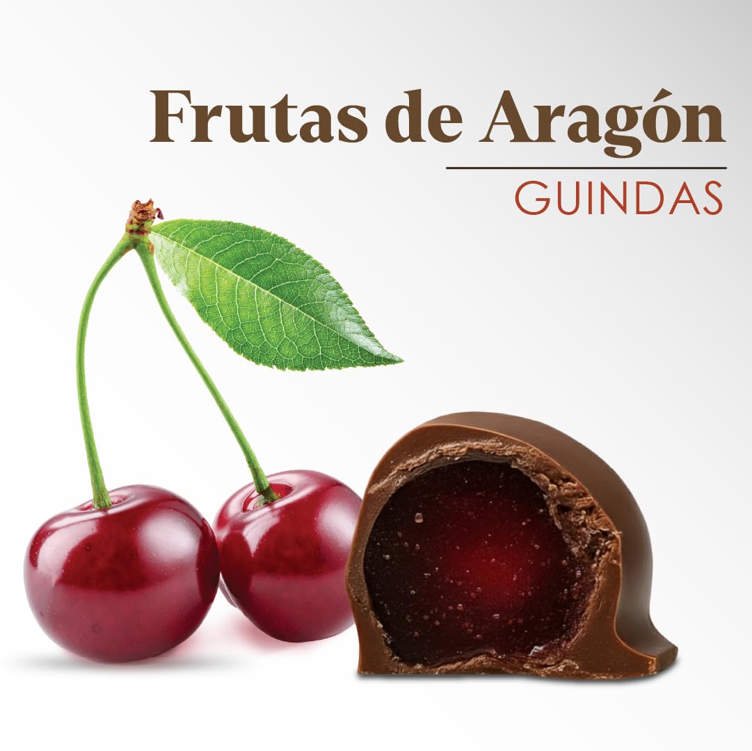 LAPASION - Frutas de Aragón con chocolate | Frutas cubiertas con chocolate | cestas para regalar | Surtidos de Chocolates |fruta confitada | 250g x 2 cestos