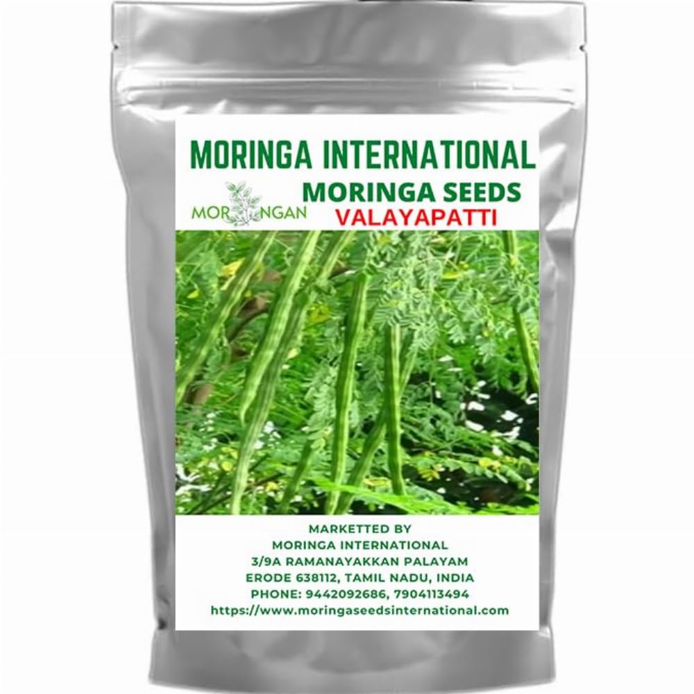 VALAYAPATTI MORINGA SEEDS 1 KG Pack - MORINGA INTERNATIONAL (5 kg) (B0D6LQBY38) Amazon Price History, Amazon Price Tracker