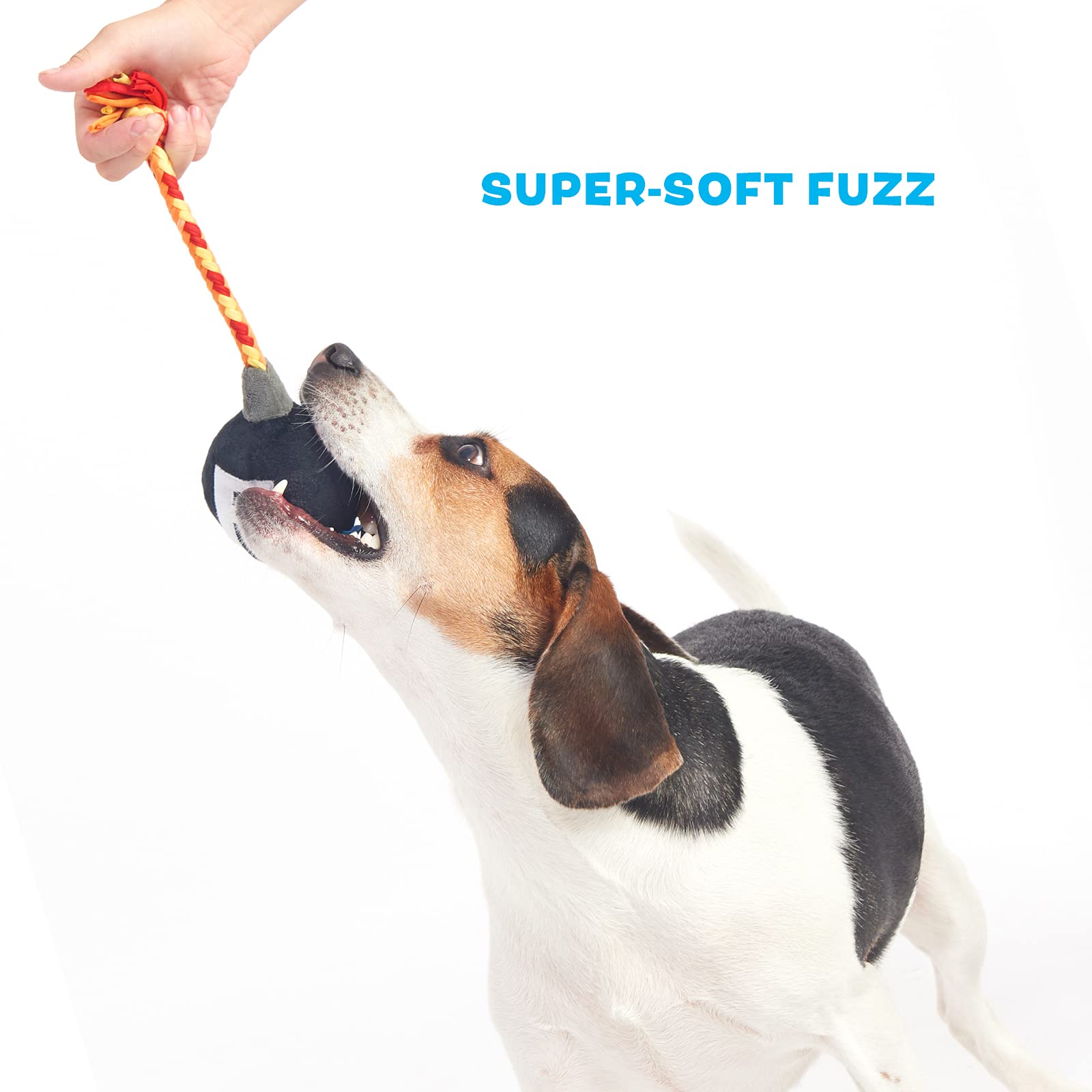 Barkbox Dog Toys F Bomb Squeaker Ball Interactive Chew