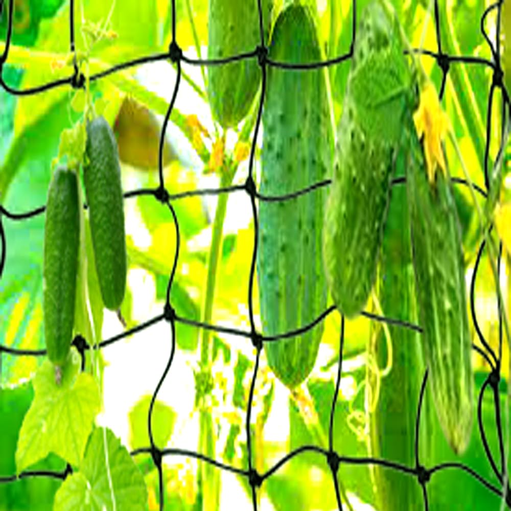 Grenfel® Trellis Netting for Climbing Plants (6 x 15 Feet) and 5x5cm- Heavy Duty Garden Trellis Netting for Cucumber, Vine, Fruits & Vegetables Tomato Plants Trellis Net, Climbing Vining Plants-image-35