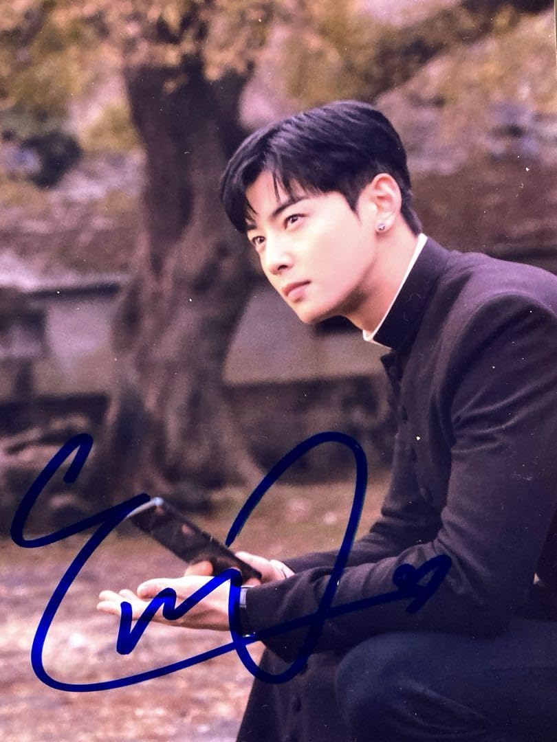 Amazon.co.jp: チャウヌ直筆サイン入り2Lサイズ写真Cha Eun-woo