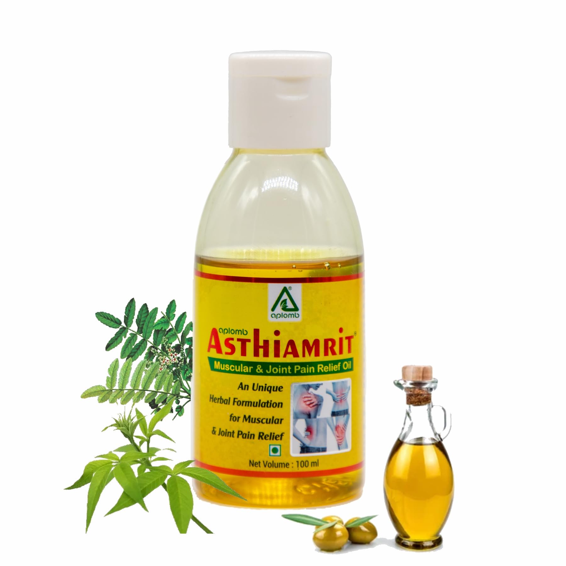 Aplomb Asthiamrit Ayurvedic Oil for Pain Relief from Knee and Joint Pain, Muscle Pain & Body Pain (100 ml) (B0BC1H6PVY) Amazon Price History, Amazon Price Tracker