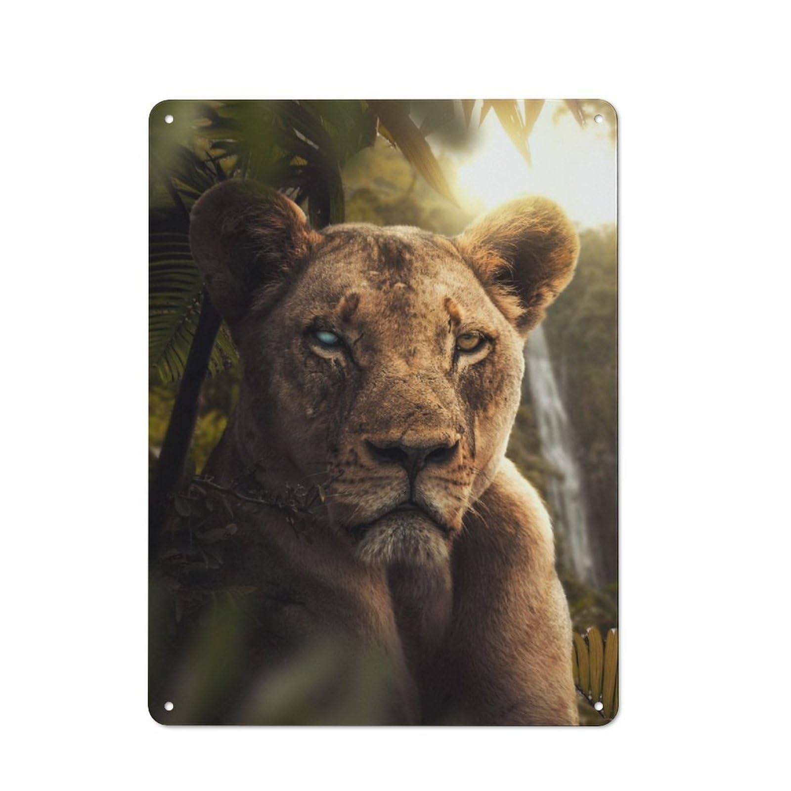 Junmoney Blind Lioness Tin Sign 40X30cm For Café Or Home Bar, Rustic Wall Decor, For Café-Style Decor Fans