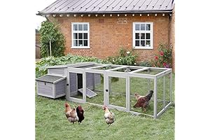 GUTINNEEN Chicken Coop | Premium Outdoor Wooden Chicken House for 4-6 Chickens