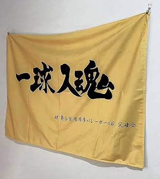 パンサーズ　応援旗　タペストリー パンサーズ 応援旗 タペストリー タペストリー｜のぼりストア