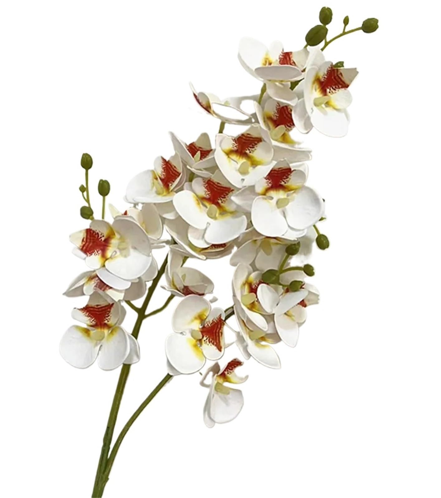 GMGQJST Artificial Orchid One Latex Butterfly Orchid Flowers