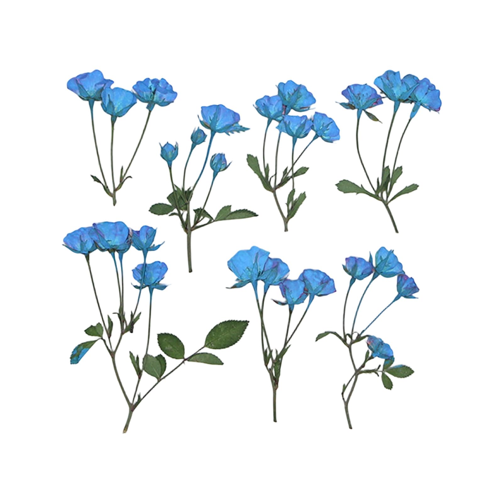 Whoasyst Of 36 Pressed Flower Branches Realistic Plant Specimens for Wedding Party and Home Decoration Home Deck Flower