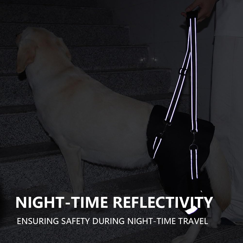 Silla De Ruedas para Perros con Arnés De Soporte Trasero, Resorte con Memoria, Ayuda para La Movilidad, Ajustable Y Reflectante, para Perros Mayores con Displasia De Cadera, Colour L