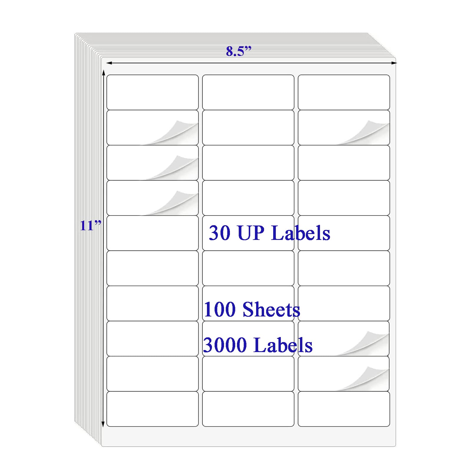 OausTect Etichette per indirizzi da 2,5 x 5,1-1,6 cm, 3000 etichette adesive per stampanti laser/a getto d'inchiostro, etichette postali 21,6 x 27,9 cm, bianche, 100 fogli da 30 etichette adesive