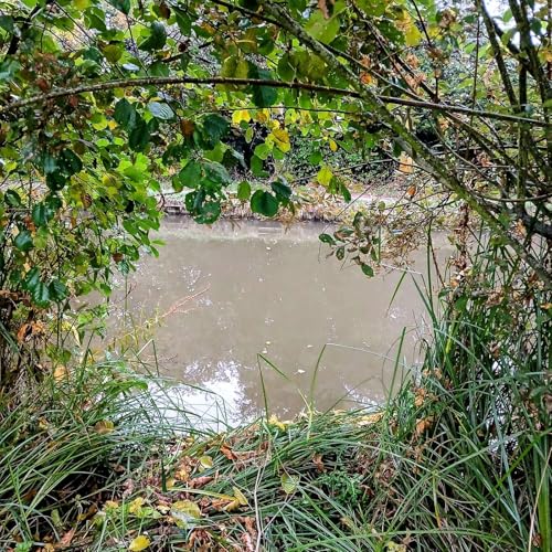 A Common Thread (Sunday at the moorings)