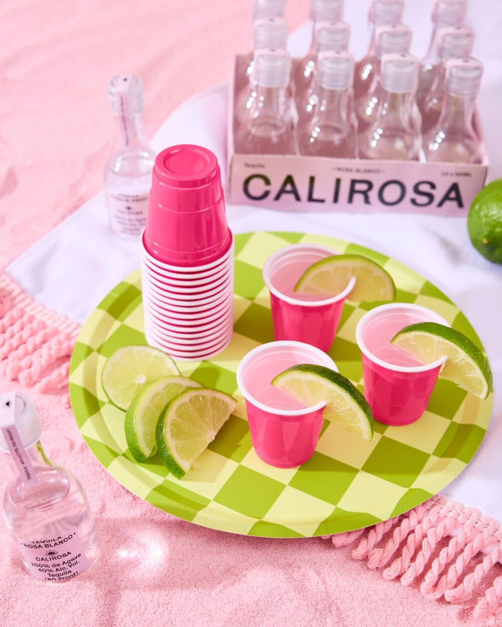 xo, Fetti Pink + Green Checkered Paper Plates - 24 pk, 9" | Bachelorette Fiesta Decorations, Cute Birthday Party Tablescape, Retro Summer Tableware Supplies, Cinco de Mayo Place Setting, 21st Bday - Image 4