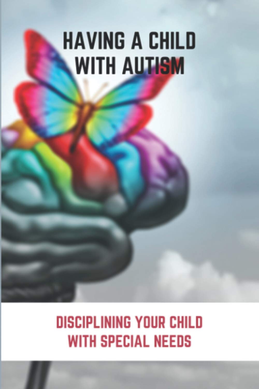 Having A Child With Autism: Disciplining Your Child With Special Needs: Guide For Parents With Autistic Child