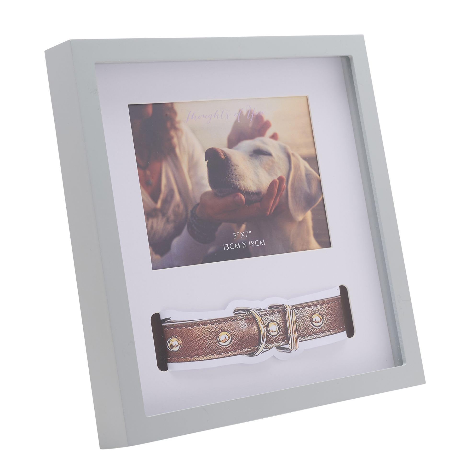 Thoughts of You Pet Collar Frame