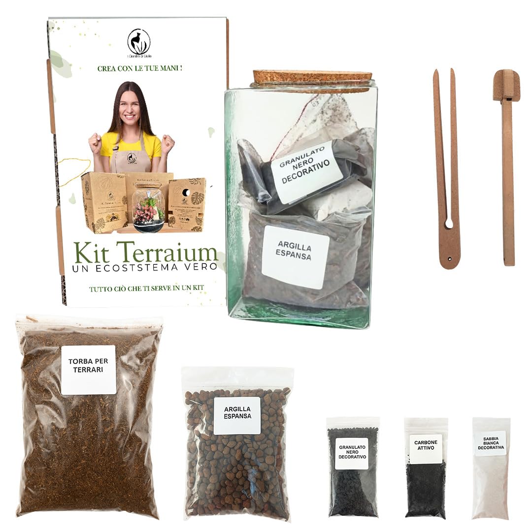 Kit terrarium verre vide 12x20cm écosystème plante intérieur fait Italie