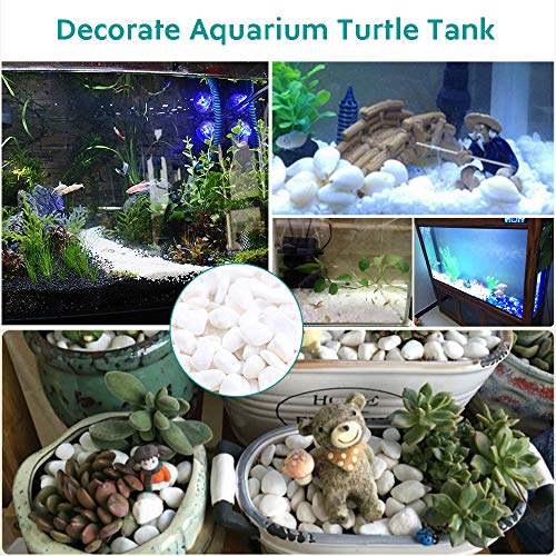 Image of WAYBER 2 Lb /920g White Stones Decorative Pebble Rock Sand for Aquarium /Fish Turtle Tank /Vase Filler /Succulent Plants Decoration (Fill 2 Cups)