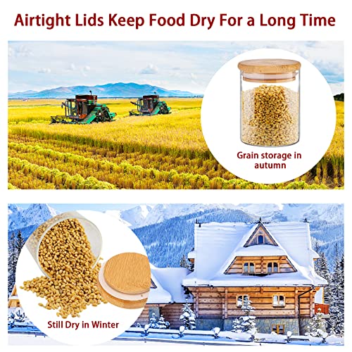 SLifeJars - Glass Jars with Bamboo Lids 16 oz, 12pcs Glass Food Storage Jars with Rewritable Labels, Bamboo Lid Jar for Kitchen Storage, Food Storage Containers with Lids for Herbs