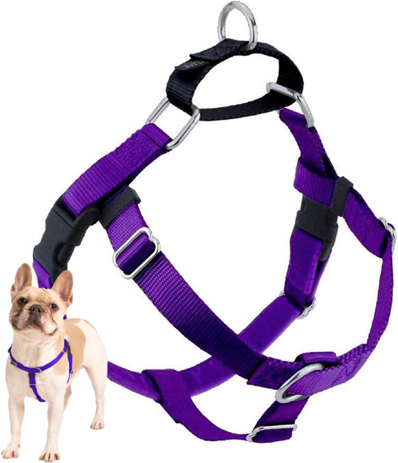 2 Hounds Design Freedom No Pull Dog Harness, Adjustable Harness, Easy Walking & Comfortable Control, Fits Small, Medium & Large Dogs, Solid Colors, Made in USA, 1" MD, Purple