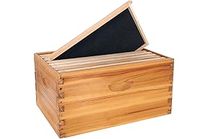 8 Frame Deep Brood Box: The Foundation of Your Beehive Colony