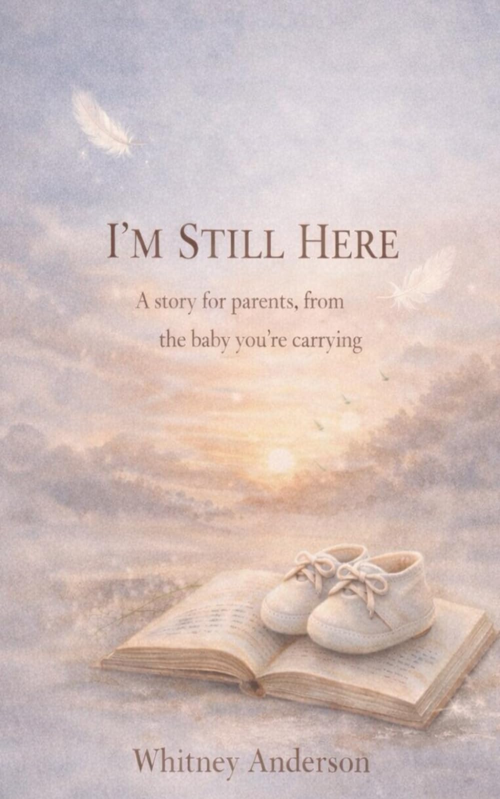 I'm Still Here: A story for parents, from the one you're carrying