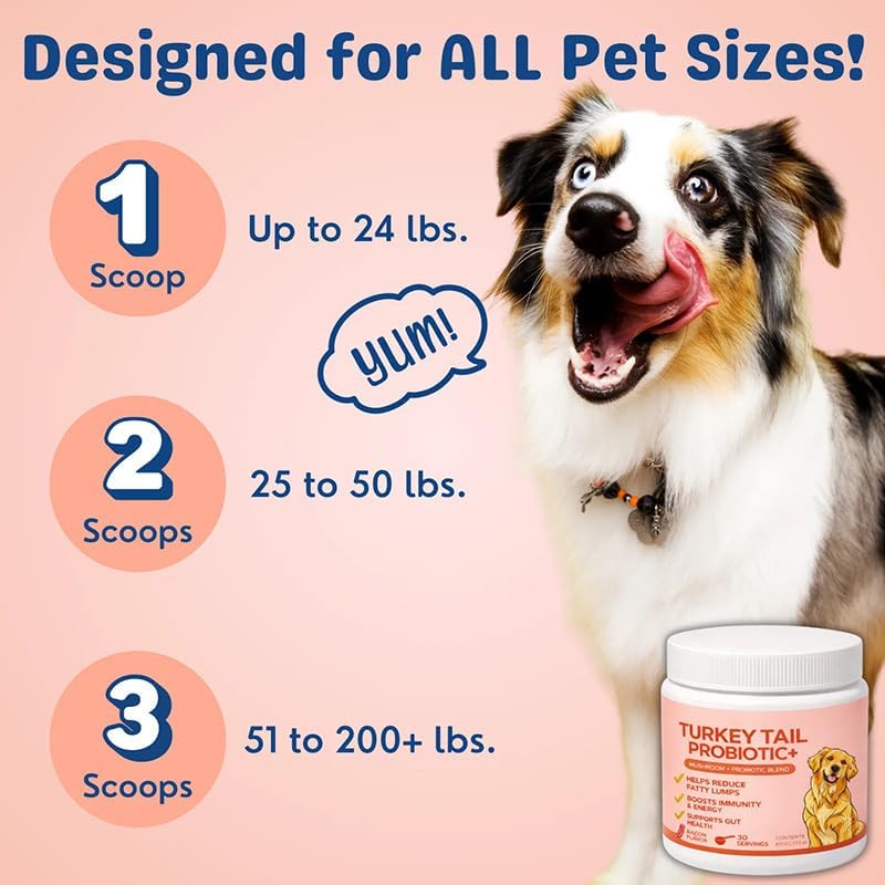 Complement Alimentaire Chien, Probiotique Chien avec Champignons Médicinaux à Queue de Dinde, Soutien Complet pour la Santé Digestive, Renforcez Votre Immunité et Votre Vitalité (x1)
