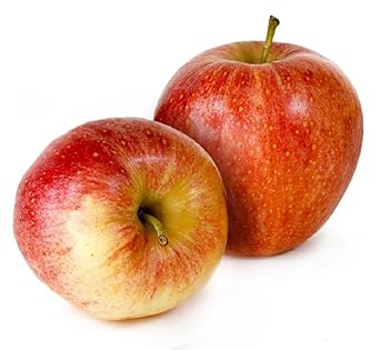 Fresh Apple Royal Gala Indian, Pack of 2 - image, photos