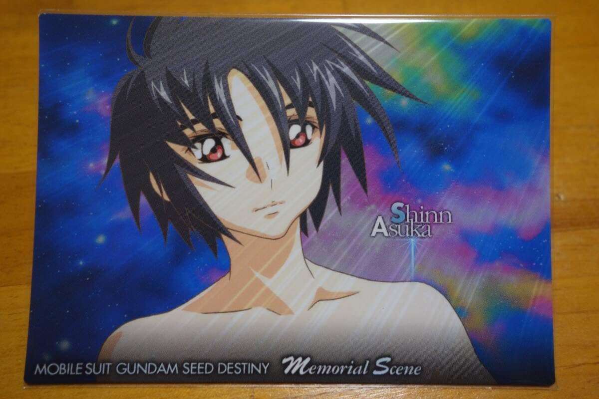 ガンダムSEEDDESTINY　カードダスマスターズ カードダスマスターズ 機動戦士ガンダムSEED DESTINY ⑧6枚セット