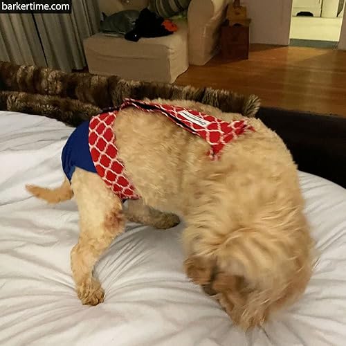 Miniatura 6 de Pañal para perro de primera calidad, impermeable, a prueba de escapes, color rojo, con agujero para la cola, fabricado en Estados Unidos