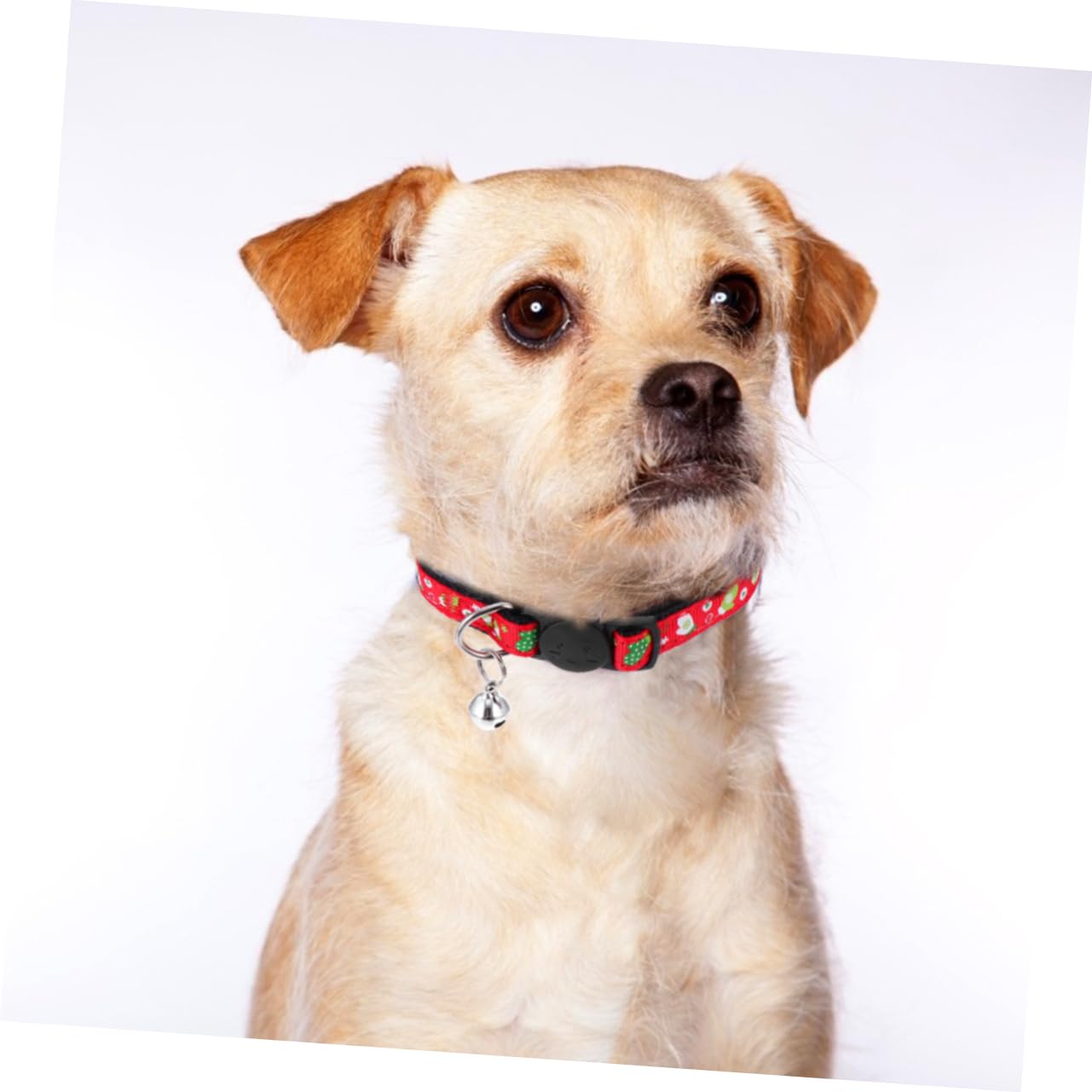 POPETPOP 12pièces Colliers Réglables pour Animaux De Compagnie avec Motifs Festifs De De Colliers pour Chiens Et