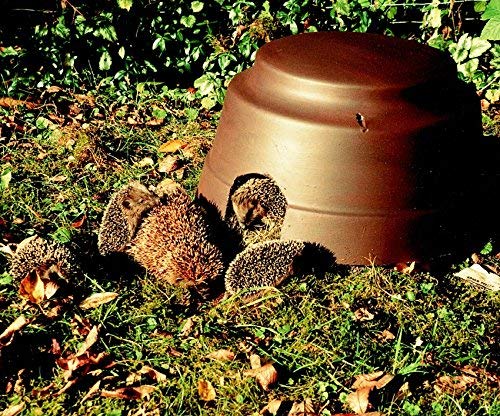 Schwegler Naturschutzprodukt Nisthilfe Nisthöhle Igelhaus Igelkuppel mit Isolierboden aus Holzbeton Höhe 30,5 cm