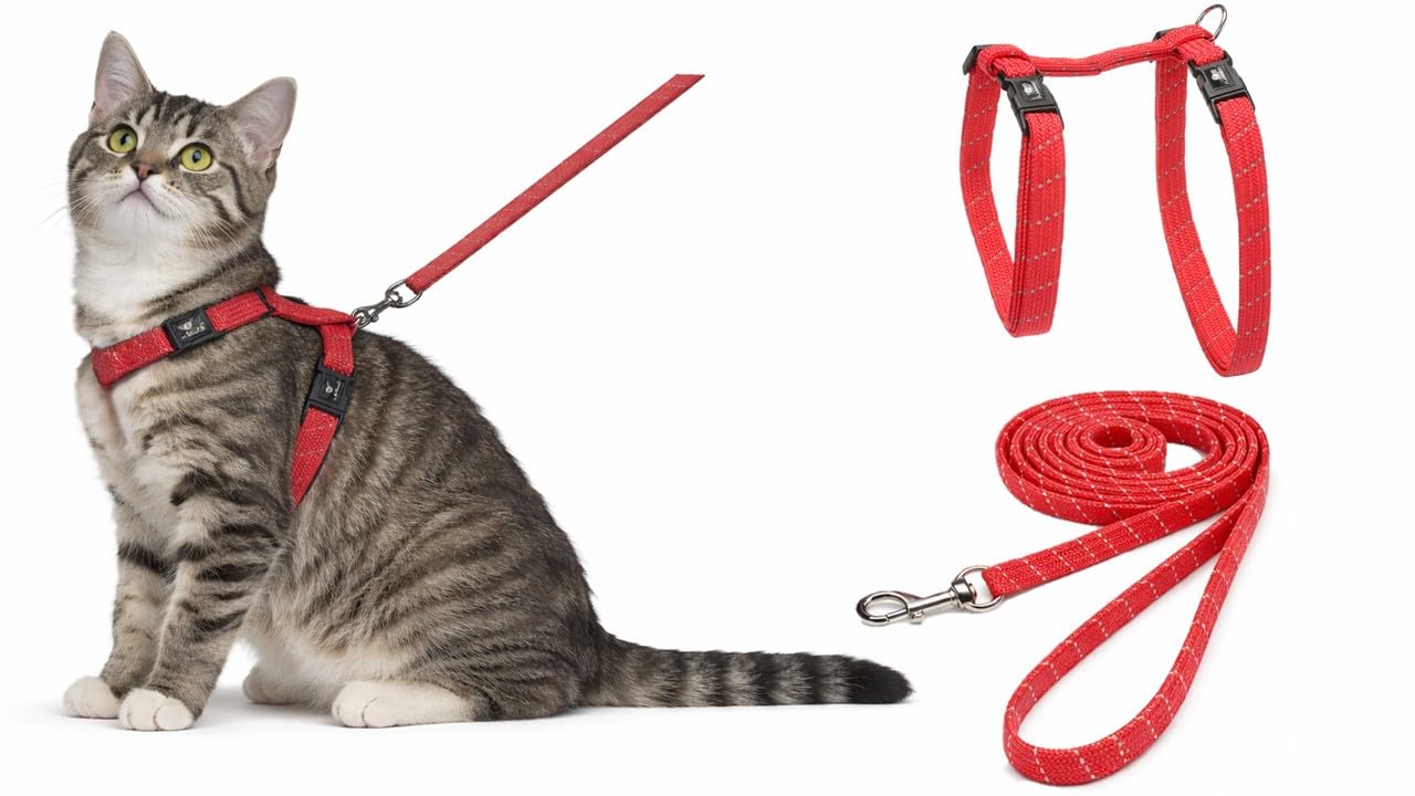 cat harness - Elza coral - 22-32cm - 27-46cm - leash 110cm - adjustable nylon - reflective - with carabiner