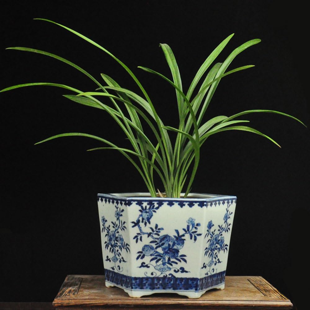 DFGHNBVC Chinoiserie Ceramic Planter Blue And White Porcelain Flower Pots All Hand-painted Bonsai Pot Bohemia Decorative Plant Pot Table Centerpiece For Home Office Table,B