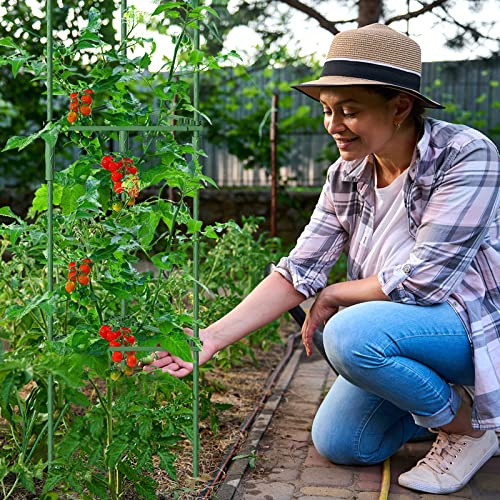 SUNYRISY Tomaten Rankhilfe im Set, Pflanzenhalter für Tomaten, Rankhilfen für Kletterpflanzen, Pflanzenstütze für Blumen & Nutzpflanzen, DIY Einstellbar 6er Set, 120 cm Höhe, Grün 6