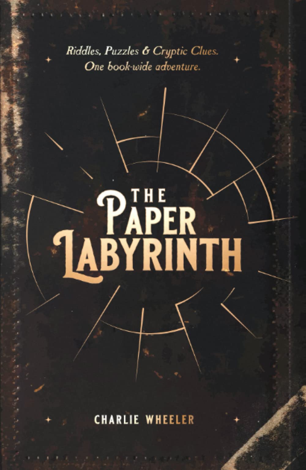 The Paper Labyrinth: A Book-wide Puzzle Solving Adventure (The Paper Labyrinth Series)