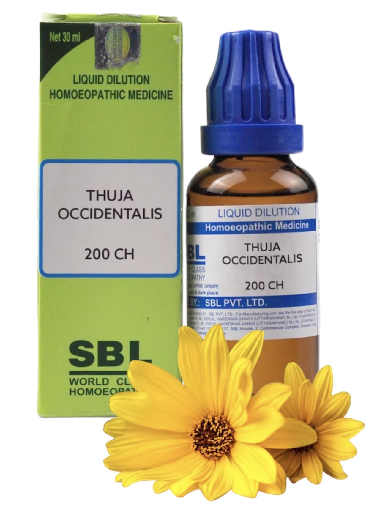 Buy SBL Thuja Occidentalis 200 CH Homeopathic Medicine (30ml) Online at Low  Prices in India - Amazon.in