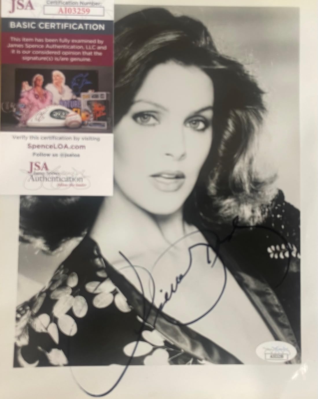☆PRISCILLA☆様オーダー品 Priscilla Presley DALLAS Original Autographed 8X10 Photo w/JSA COA