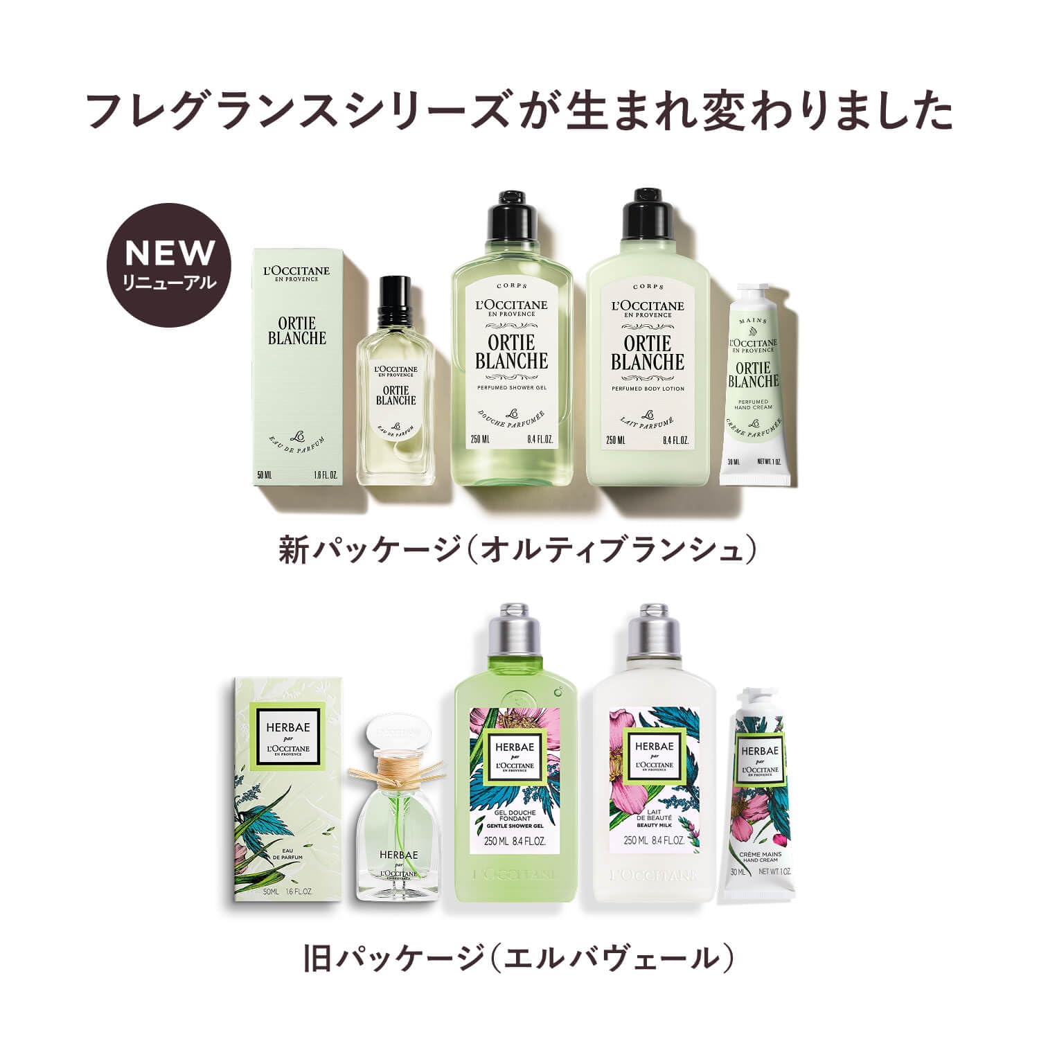 ロクシタン オルティブランシュ エルバヴェール パフュームド ボディミルクサムネイル7