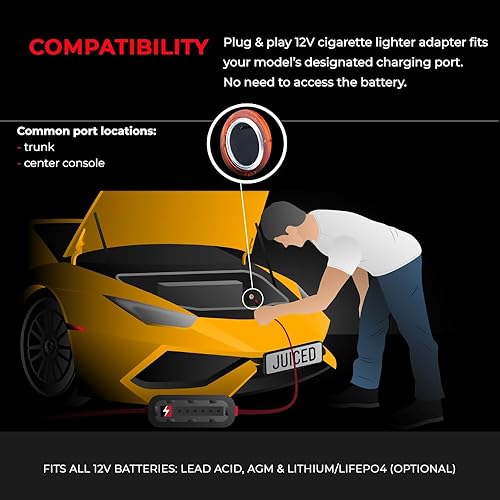 Miniatura 3 de JMR - Cargador de batería para Lamborghini Aventador, Huracan, Urus, Gallardo, Murcielago, cargador de goteo y acondicionador (puerto Cig de 12 V,